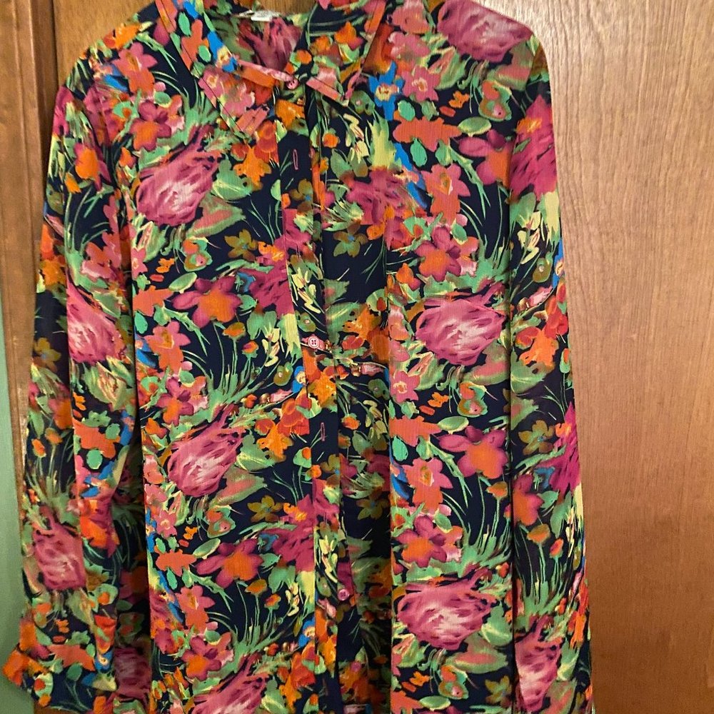 Long sleeved sheer blouse